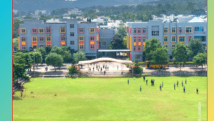 Kolte Patil Canvas - Cricket pitch